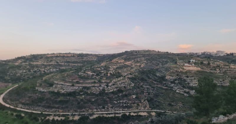 Battir Women Association and the Echo of Heritage Amid Palestine’s Tourism Standstill