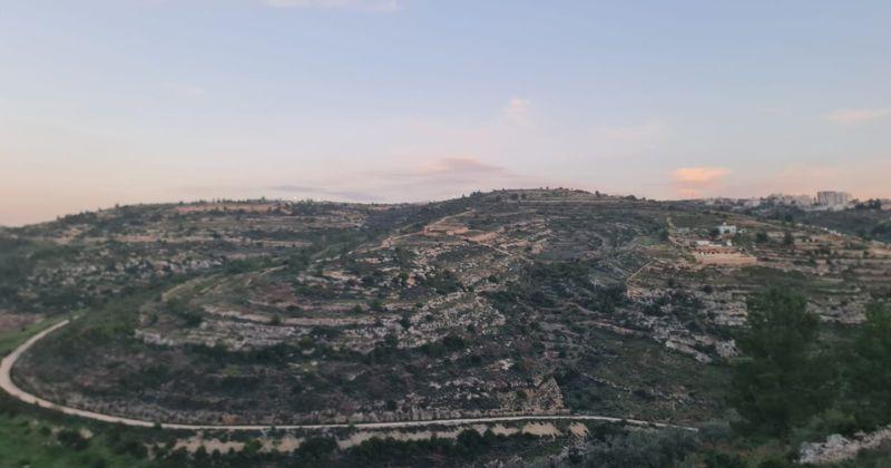 Battir Women Association and the Echo of Heritage Amid Palestine’s Tourism Standstill